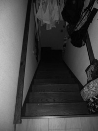 勾配が急な階段。各段の高さや幅が異なり危険でした。